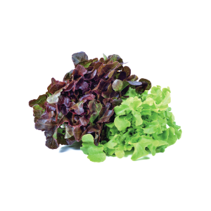 Fresh Mixed Green 80gm