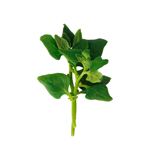 Private: Spinach 40gm